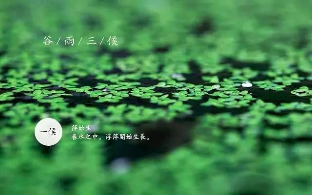 a13f3e712c2d4e2bb15817fd3ffe75cc.jpeg