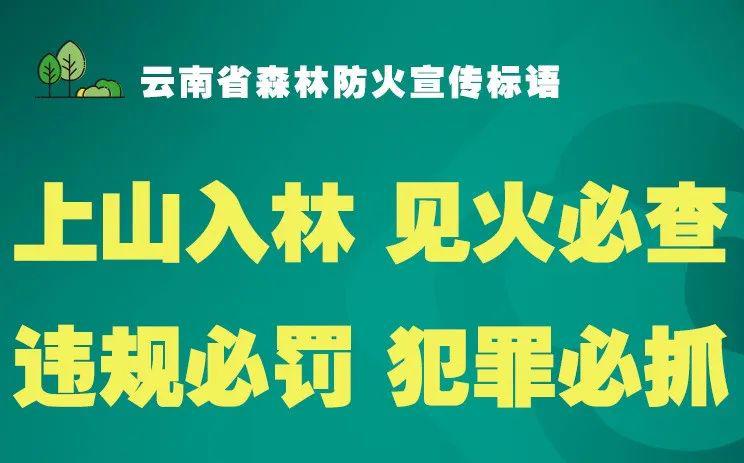 行会收人口号_公主连结 行会收人广告(2)