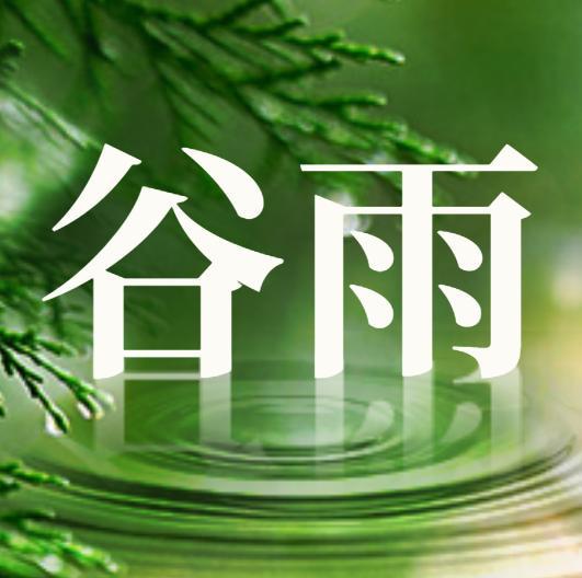 谷雨到,快乐到~_问候
