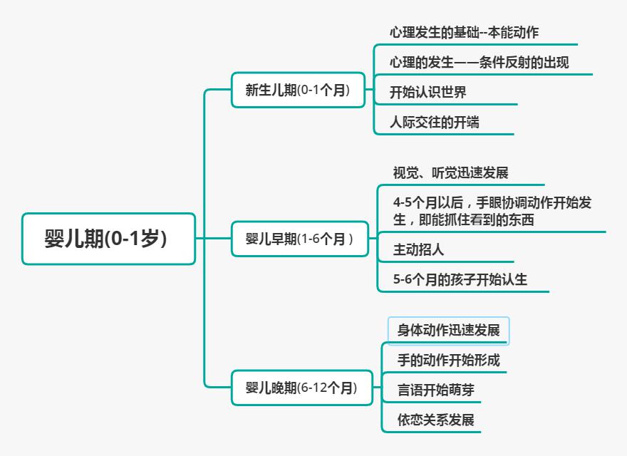 幼教科目二丨幼儿发展复习