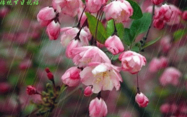 谷雨是二十四节气的第六个节气,太阳到达黄经30度时为谷雨,源自古人