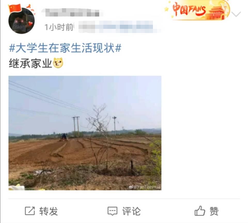 上了近两个月的家里蹲大学后奇怪的想法又增加了