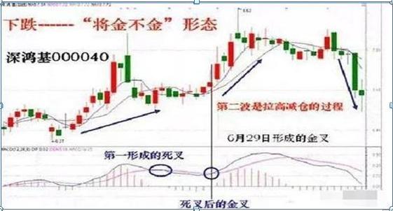c80ed9db216247948a178a51f5262465.jpeg