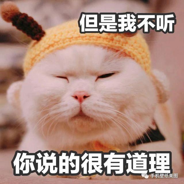 2020表情包搞怪,最新可爱表情包大全