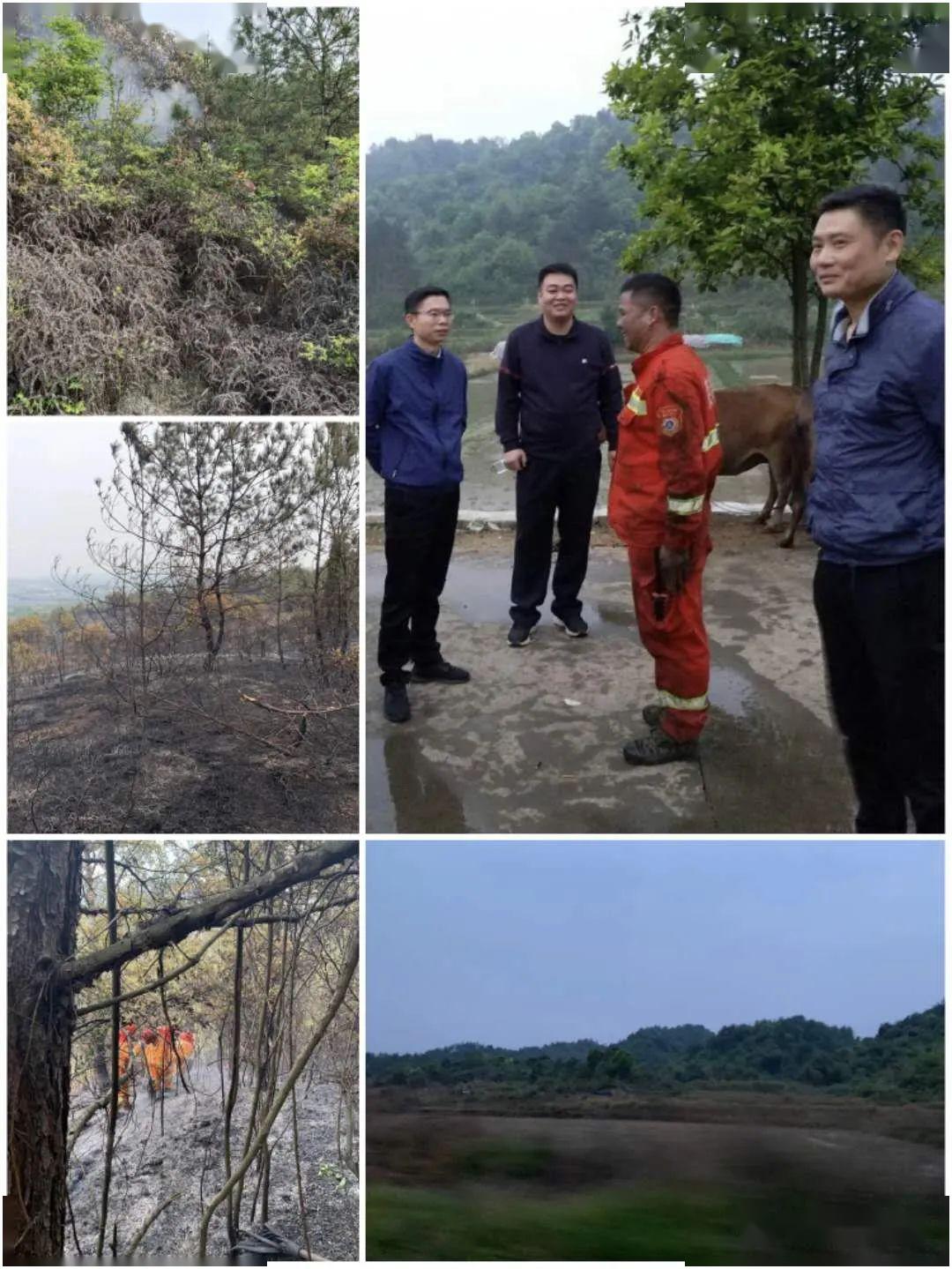 贵溪有多少人口_贵溪一中图片(2)