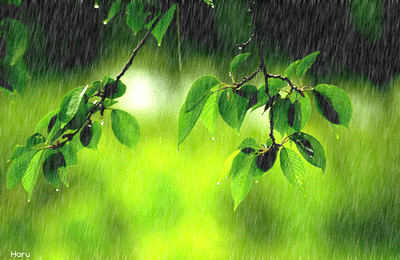 崇左未来几天:降温 局部大雨 雷雨大风 崇左论坛