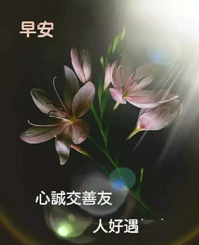 女孩因为爱上一个人而长大,男孩会因为失去一个人而长大,早安!