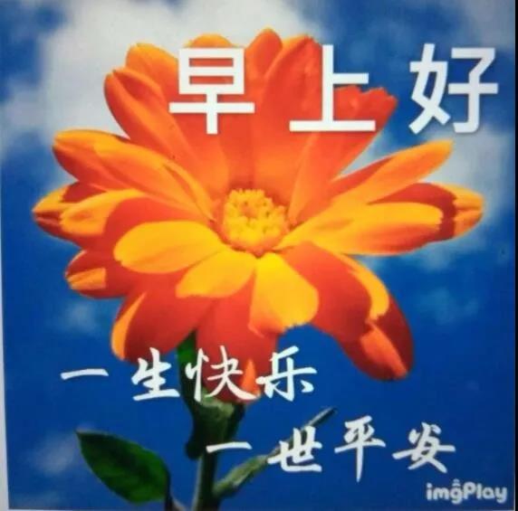 学会坚强,做一个对生活充满自信的人,早安