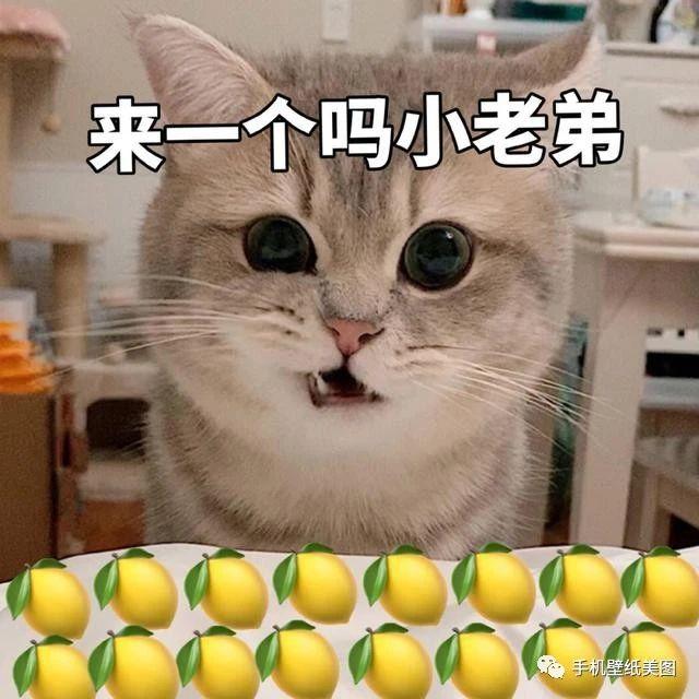 2020表情包搞怪,最新可爱表情包大全