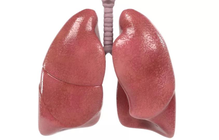 肺不好的人身体会有1大2痛3多若没有肺部还算健康