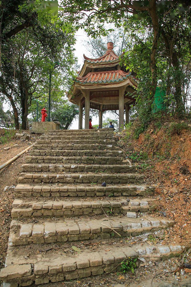 妈屿岛人口_汕头妈屿岛图片