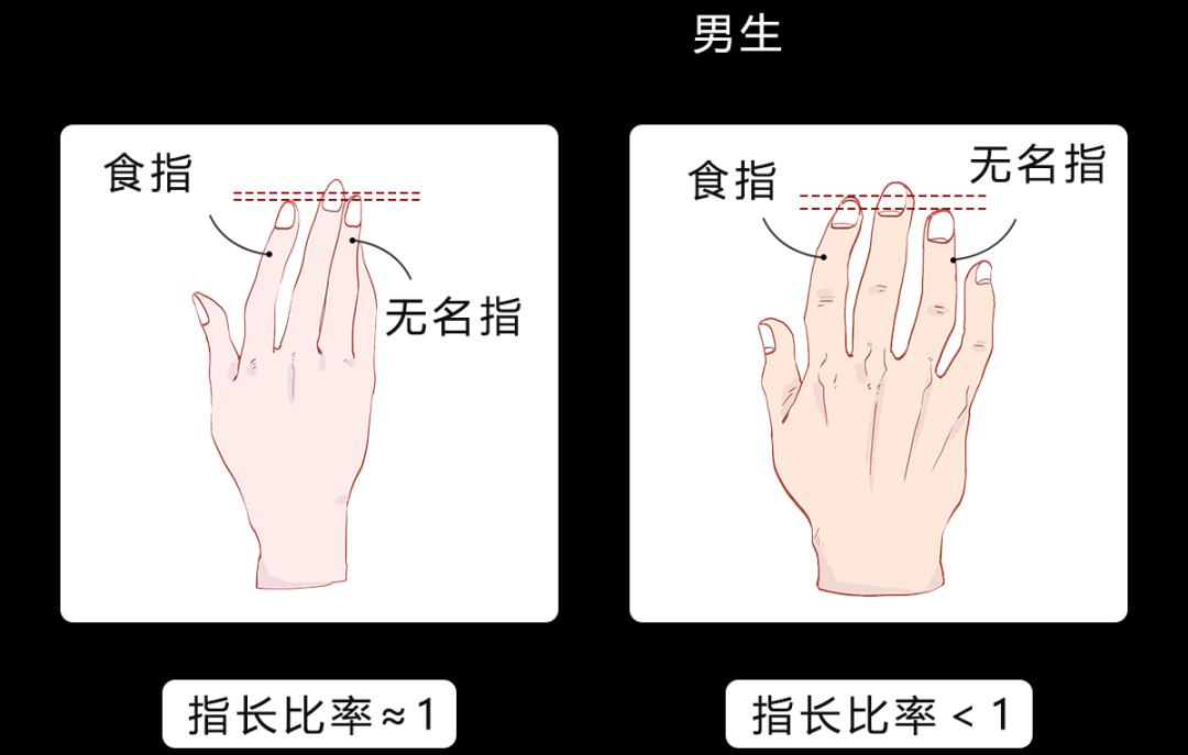 为什么男朋友要找手指长的