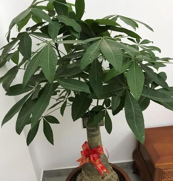 e62fc9c846524cf8a472fef9024f9009.png