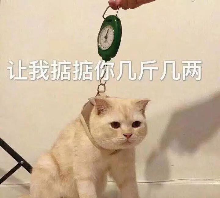 e8a30f09686e45a4a78f9c490c94b7ce.jpeg