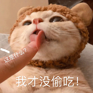 发了这么的表情包,为什么还不追我