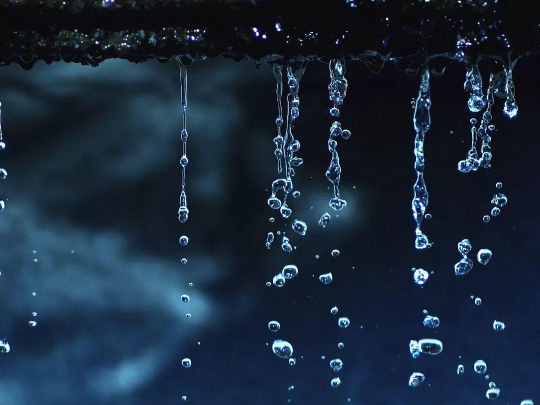今日谷雨:岁月匆匆与春别,雨生百谷夏将至_仓颉