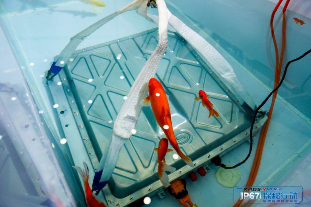 点击进入看图评论