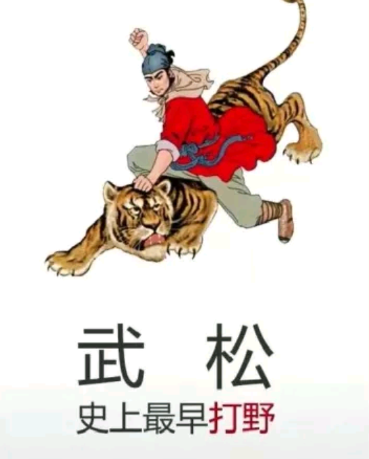 梦回屋内，与友共探小蛇之谜，解析昨晚梦中零碎小蛇的深层含义