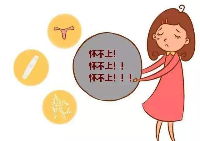 原创排卵期同房没怀上,不一定是备孕妈妈的问题,可能跟这3方面有关