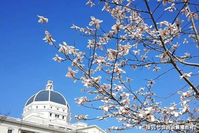 【含金量】毕业待遇高！想学外语？国内这5个学校含金量超高