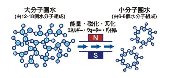 有关小分子团水,你掌握是多少?