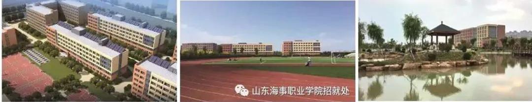 高考■山东海事职业学院：高考强化班/订单班 2020招生简章