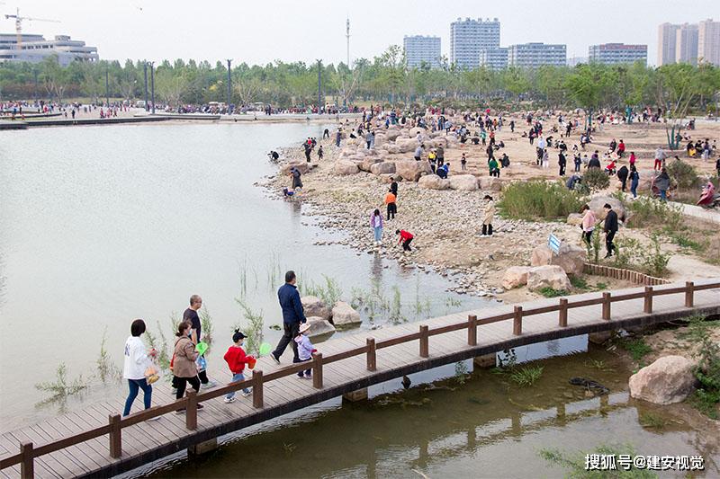 河南安阳洪河湿地公园面积约40公顷湿地生态环境成金丝带