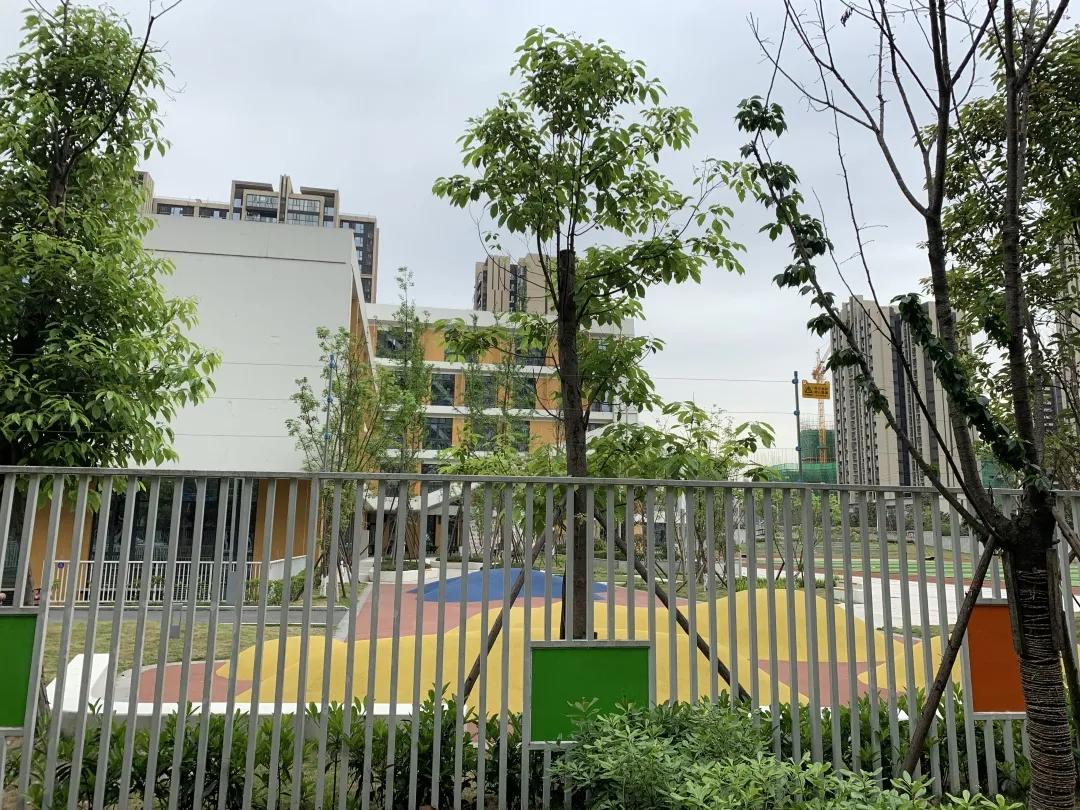 霍森斯小学