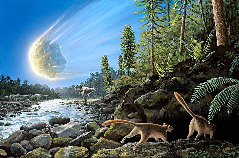 生命在地球上的历史(三)物种大灭绝的原因