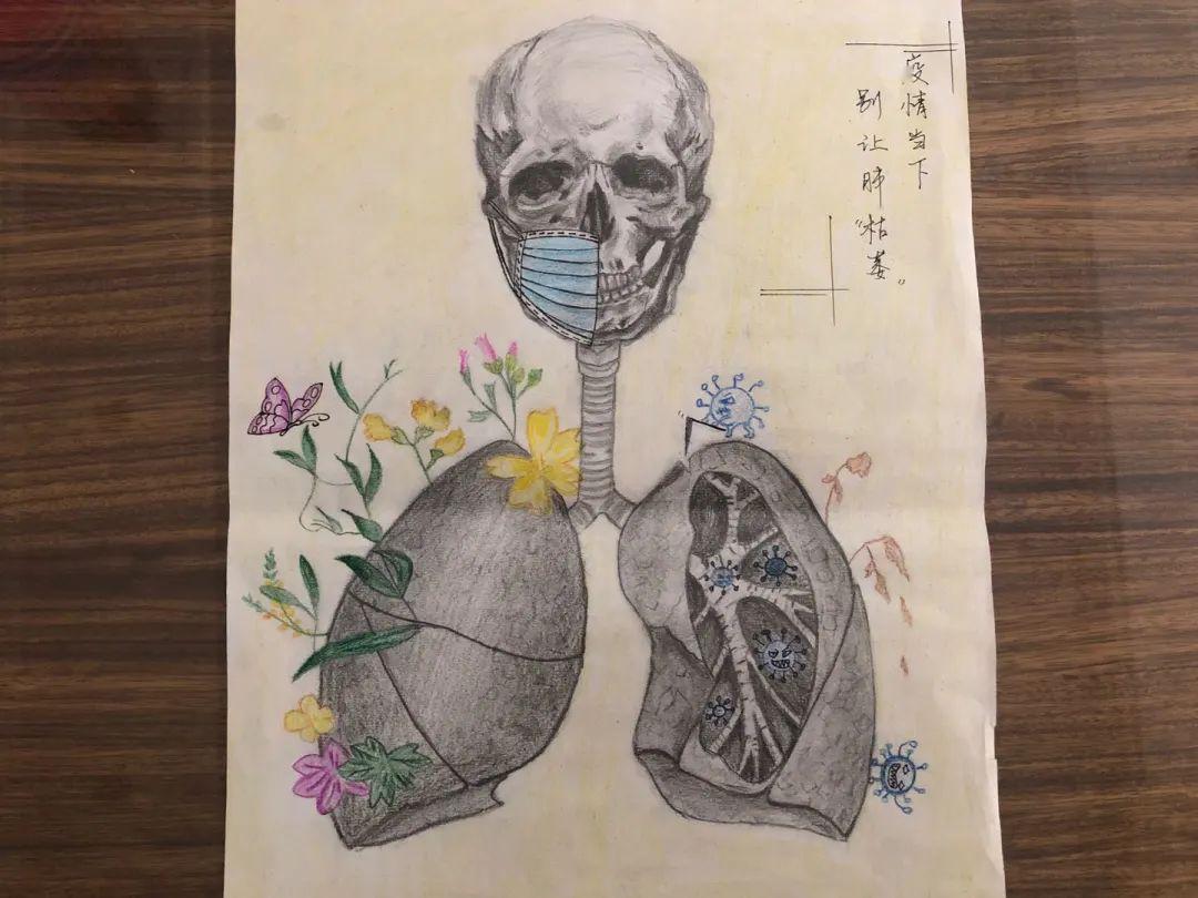 "系解月"解剖绘画大赛|线上投票作品