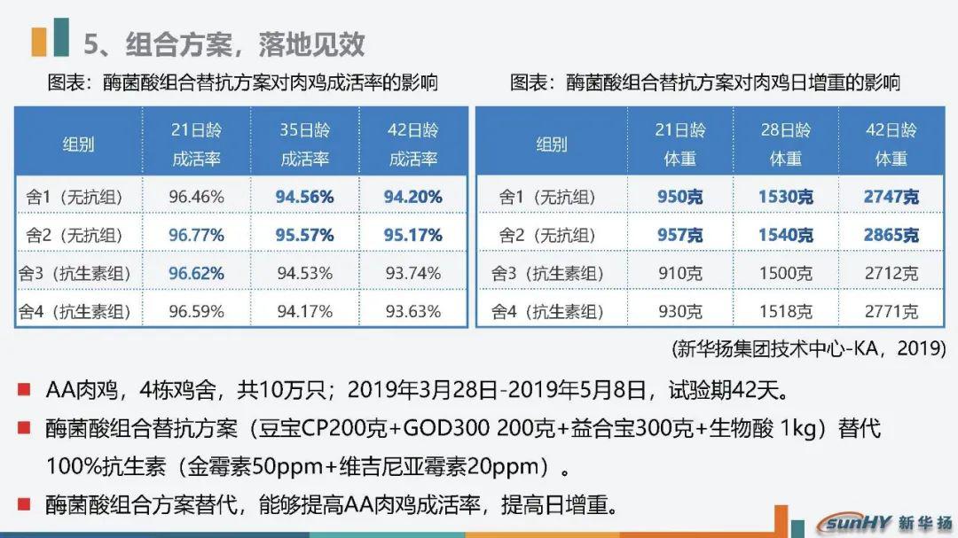 最新最全最前沿替抗方案大分享中畜兴牧直播间云会议精彩回顾