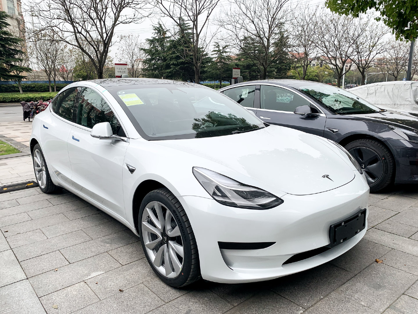 厉害了,网友送礼model3,白色车身很迷人