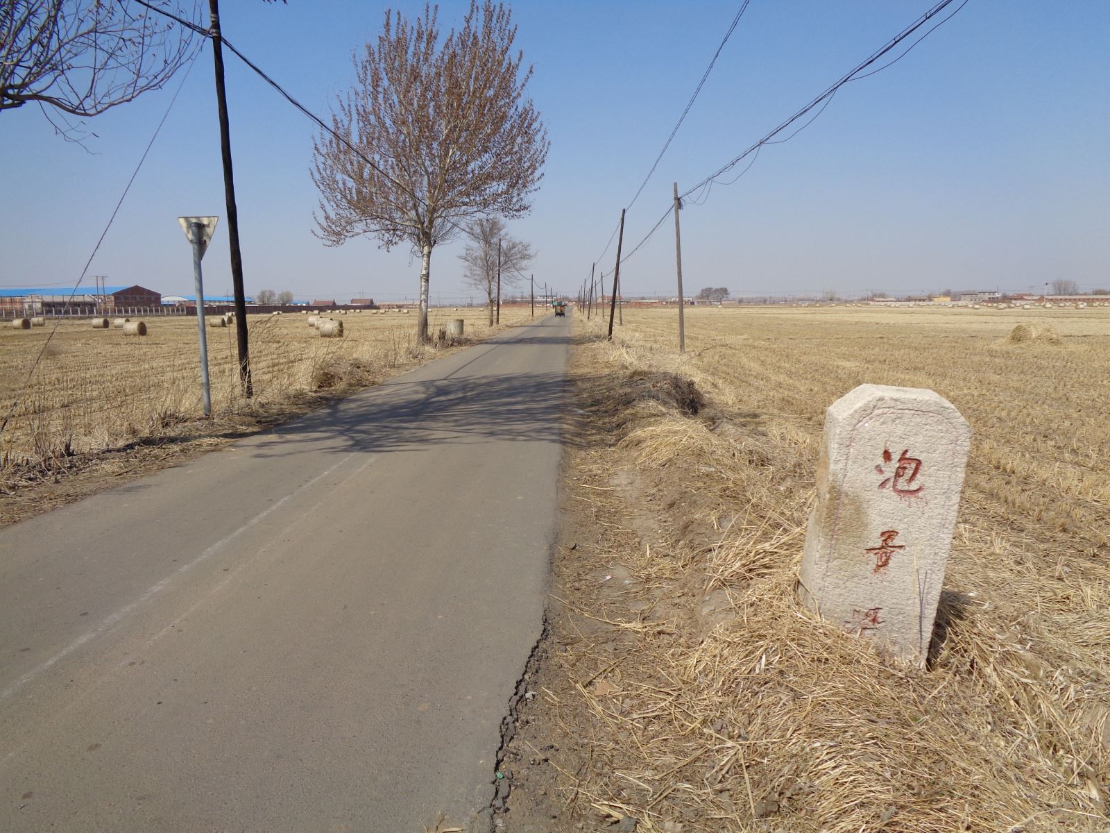 地名档案苏家屯区红菱八一街道泡子沿村