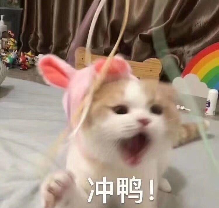 原创国民表情包来咯来咯,多种卖萌,撒娇,搞笑供你斗图聊天