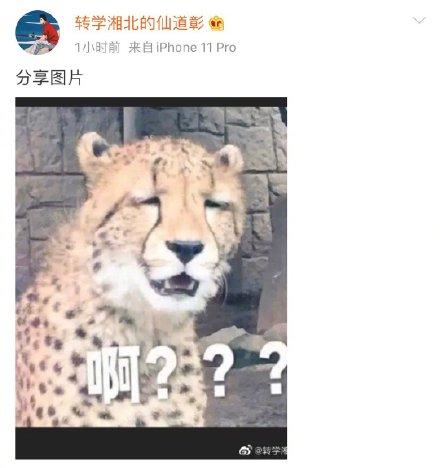 一出大戏！屈楚萧否认恋情，女方万籽麟一脸懵