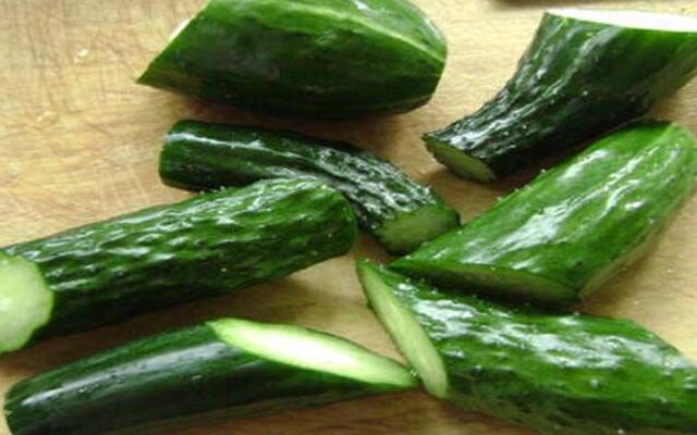 现在可以种黄瓜吗 6453d67d0e7d40c4bc895c106e1b6153.jpeg