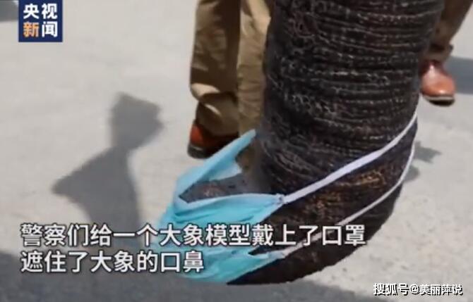 太可爱了！大象模型戴口罩 此举引得民众围观啧啧称奇