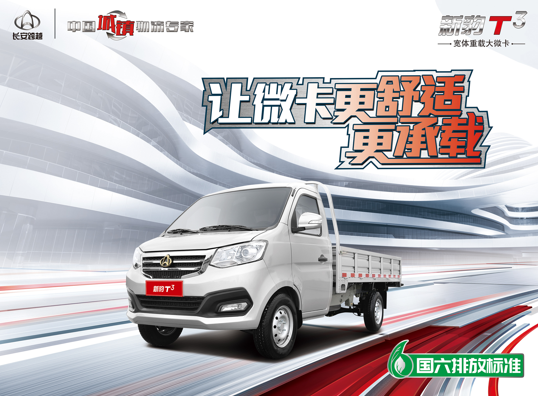 新款豹纹T3,好用省油创业高端微卡!