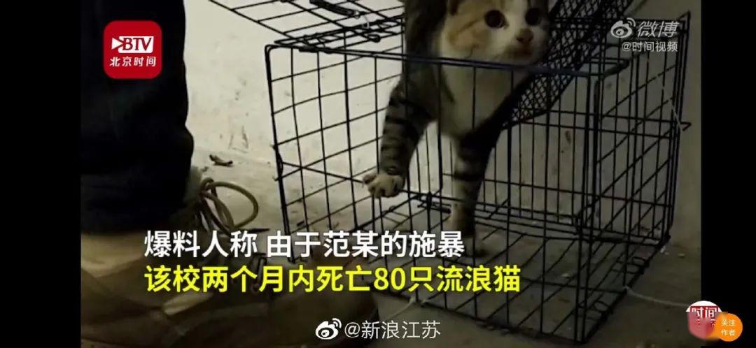 太可怕了!网传虐猫狂魔范某人扬言要杀1000只猫,报复社会!