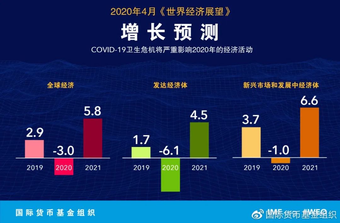 兔子gdp_兔子卡通图片(3)