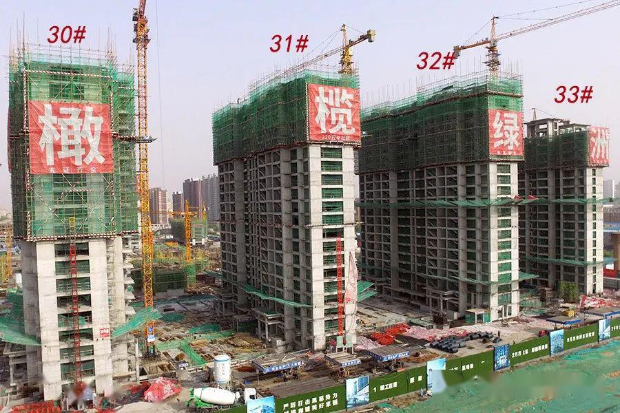 家音至橄榄绿洲和雅4月工程进度播报