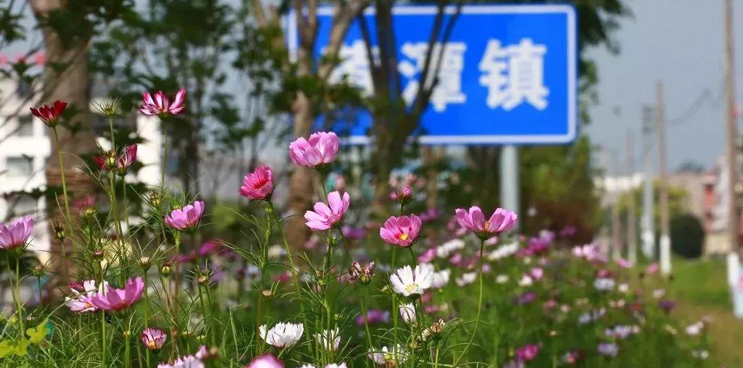 2020天门农教排名在_2020年湖北省天门市农村义务教育学校教师招聘总成