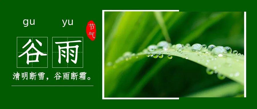 【二十四节气】今日谷雨