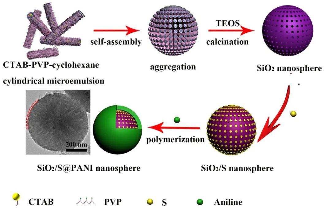 具有径向介孔孔道的sio2s@pani纳米球用作高性能锂硫电池正极材料