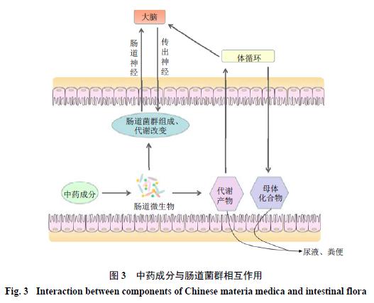 针管吸药水对应的科学原理是什么_吊针吊的是什么药水(2)