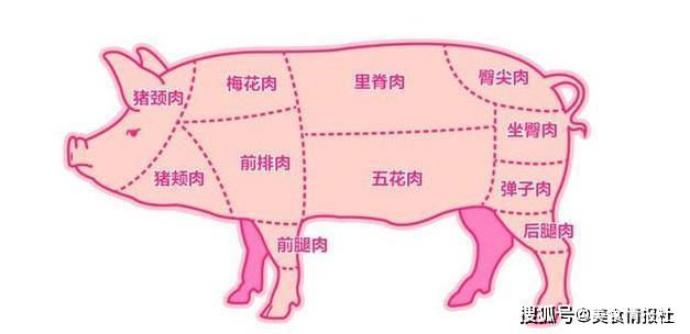 bca38ccc3d524a46a4d3eb53067a226b.jpeg