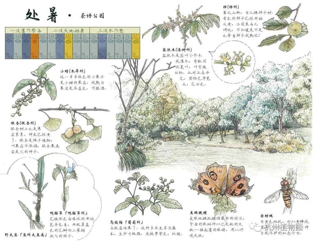 24节气物候记录),将这些记录了日常生活和周围自然环境的自然笔记分享