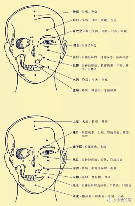 非常完整的人体穴位图与功效果断收藏