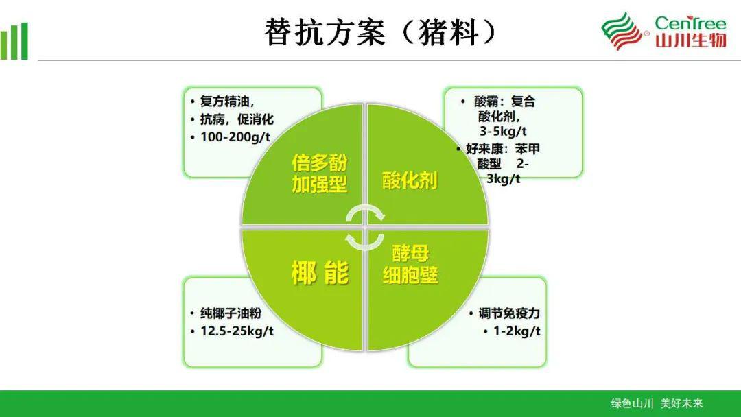 最新最全最前沿替抗方案大分享中畜兴牧直播间云会议精彩回顾