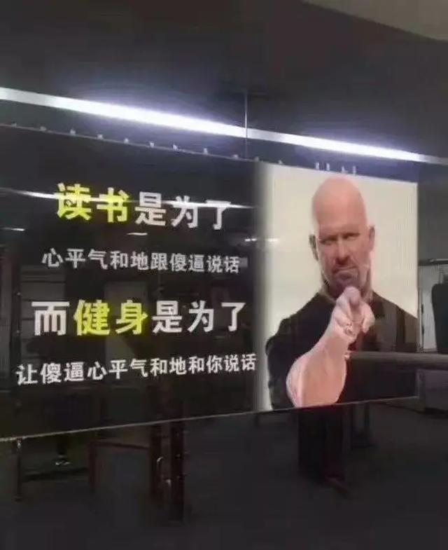 读书是为了心平气和地跟傻逼说话而健身是为了让傻逼心平气和地和你